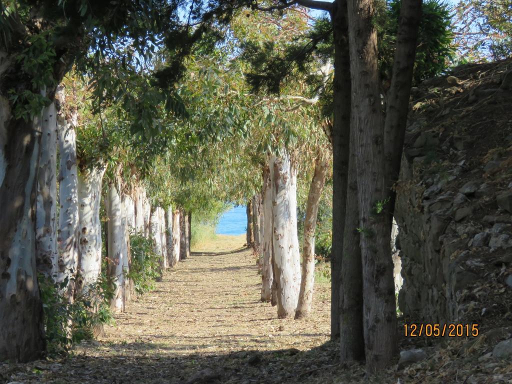 Casa Verdemare Cefalù Exterior foto